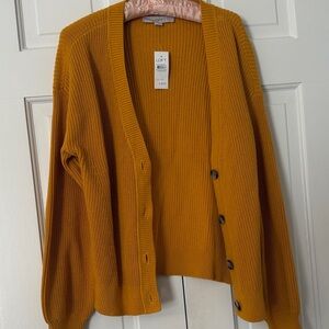 LOFT Women's Golden Cardigan Sweater